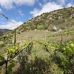 Landsted Quinta Da Ferradosa Wines *