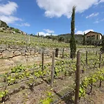 Quinta Da Ferradosa Wines