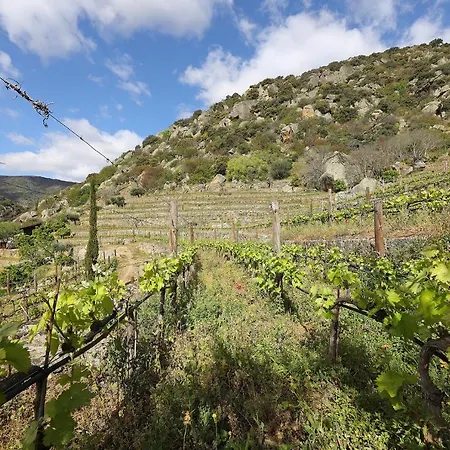 בית כפרי Quinta Da Ferradosa Wines *