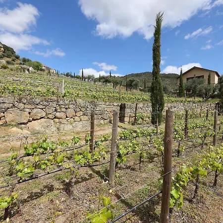 Quinta Da Ferradosa Wines