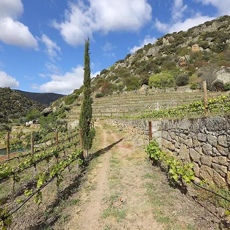 Quinta Da Ferradosa Wines * São João da Pesqueira