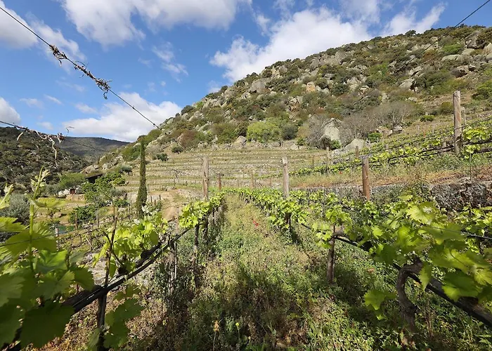 Landsted Quinta Da Ferradosa Wines *