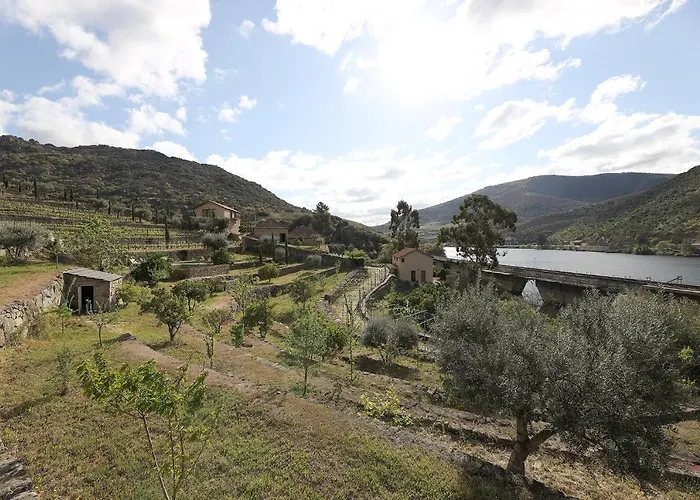 Quinta Da Ferradosa Wines