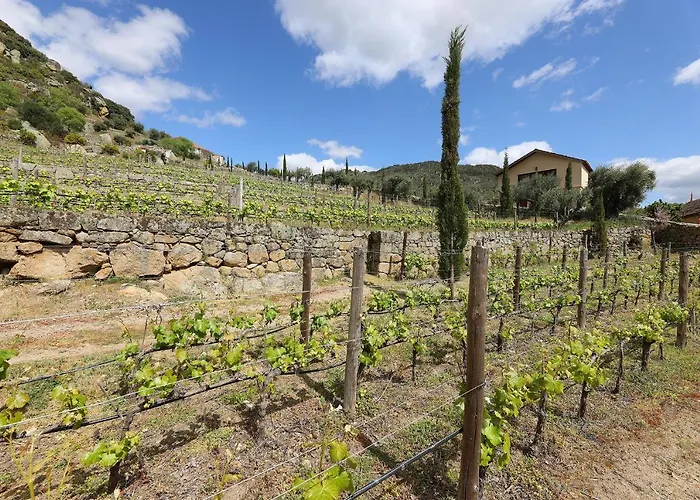 Quinta Da Ferradosa Wines