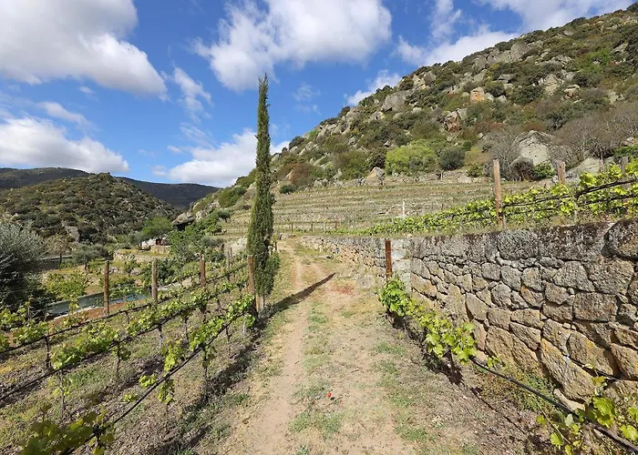 Quinta Da Ferradosa Wines * São João da Pesqueira